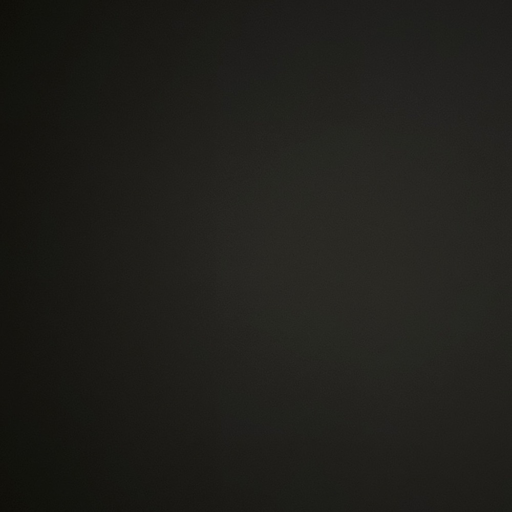 Zara Boyfriends patch print button down shirt